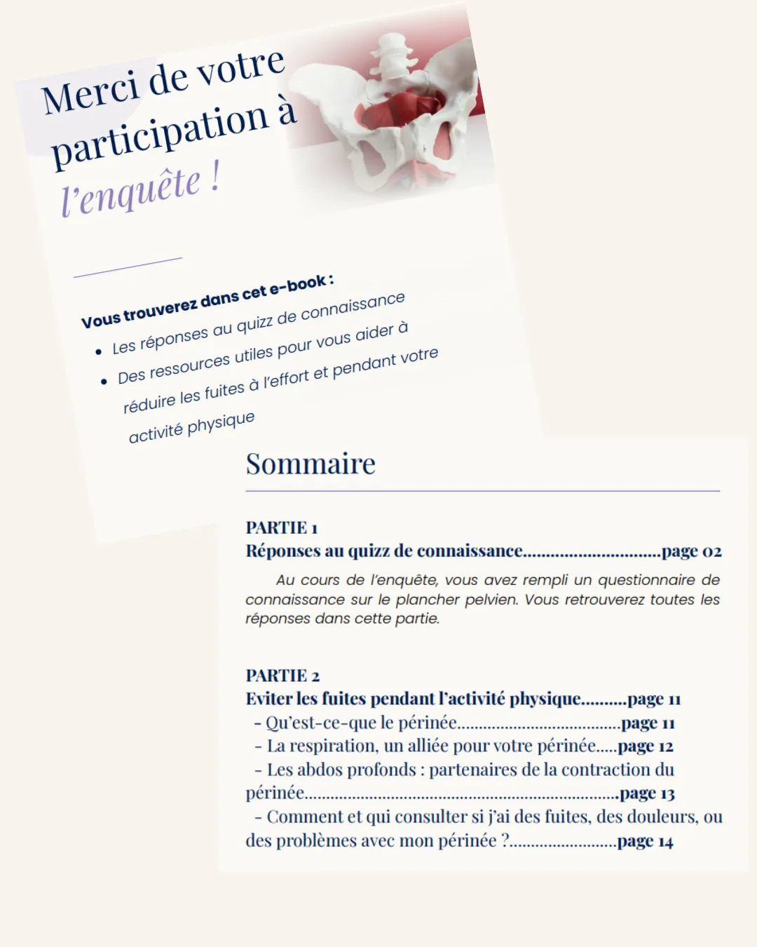 Couverture et sommaire de l’ebook offert à la fin de l’enquête